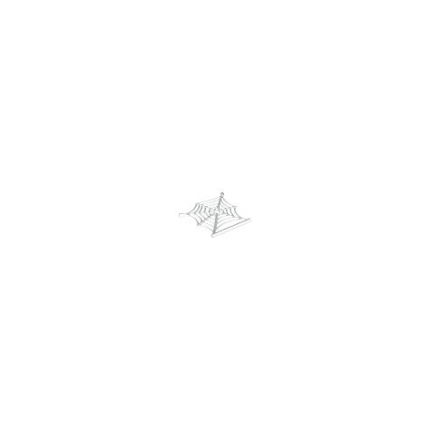 Animal, Accessory Spider Web with Bar