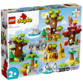 Fauna Salvaje del Mundo