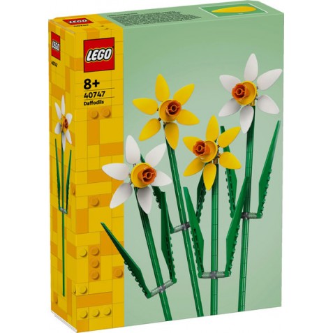 Narcisos