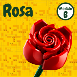 Rosa B
