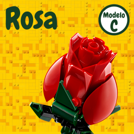 Rosa C